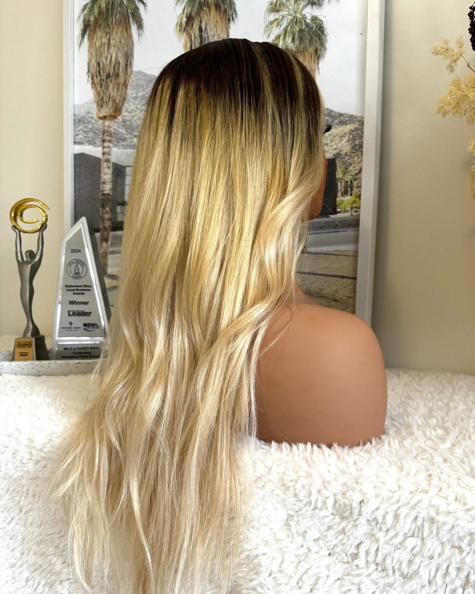SEAMLESS OMBRE Straight Human Hair Wig 22” **READY TO SHIP** - Milk & Honey Wigs