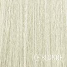 TEGAN Wavy Synthetic 26” Ponytail - Milk & Honey Wigs
